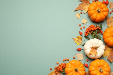 Photo of Different ripe pumpkins, autumn leaves and berries on green background, flat lay. Space for text