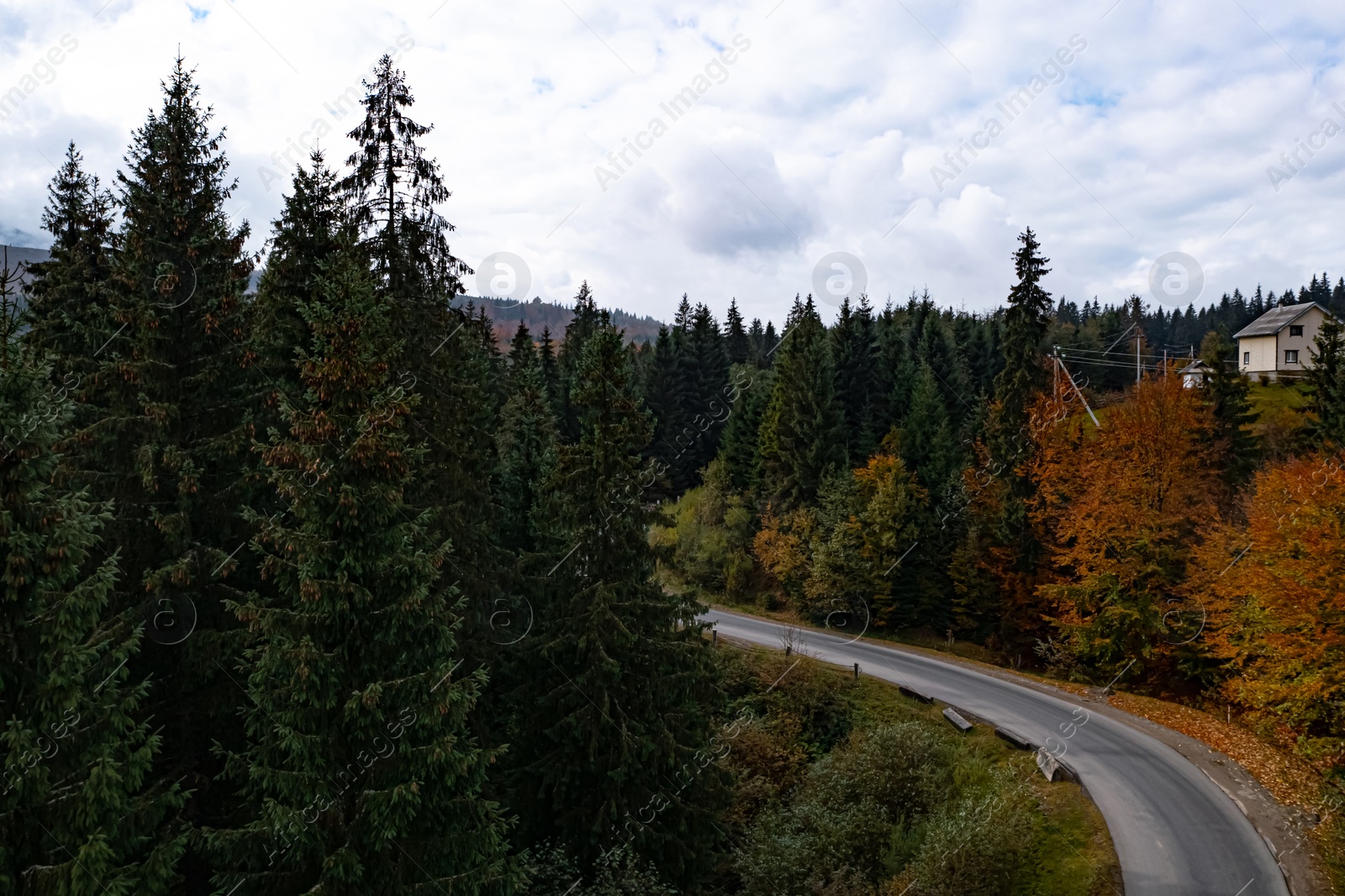 Image of Aerial view of beautiful forest and empty road on autumn day