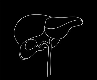 Illustration of  liver on black background. Human anatomy 