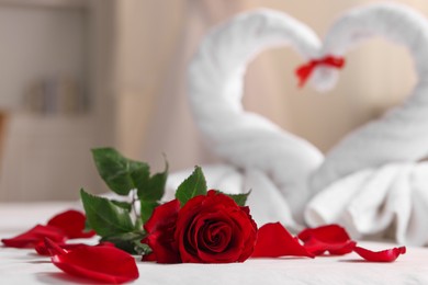 Honeymoon. Swans made of towels, rose flower and petals on bed in room, selective focus