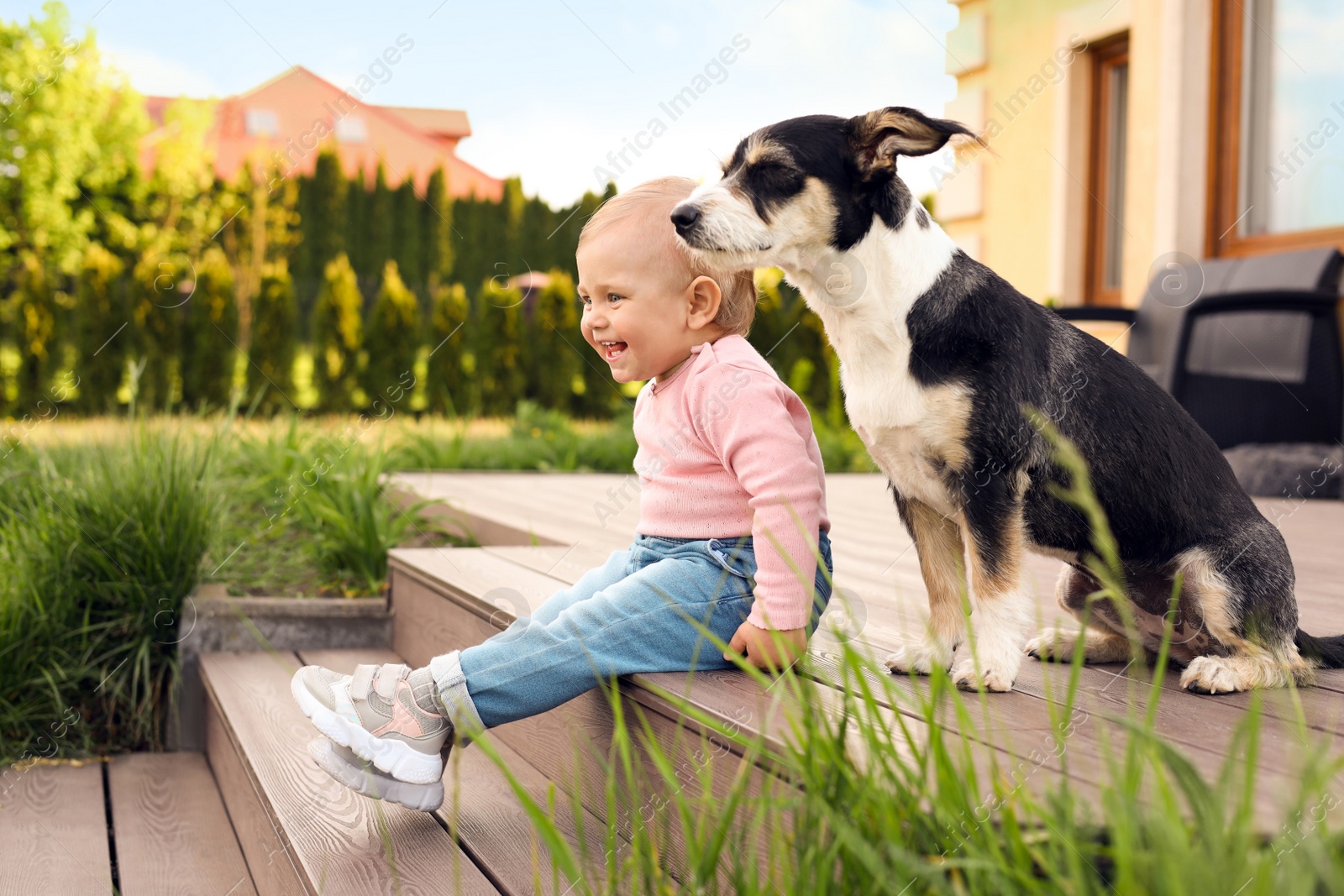 Photo of Adorable baby and furry little dog on wooden porch outdoors