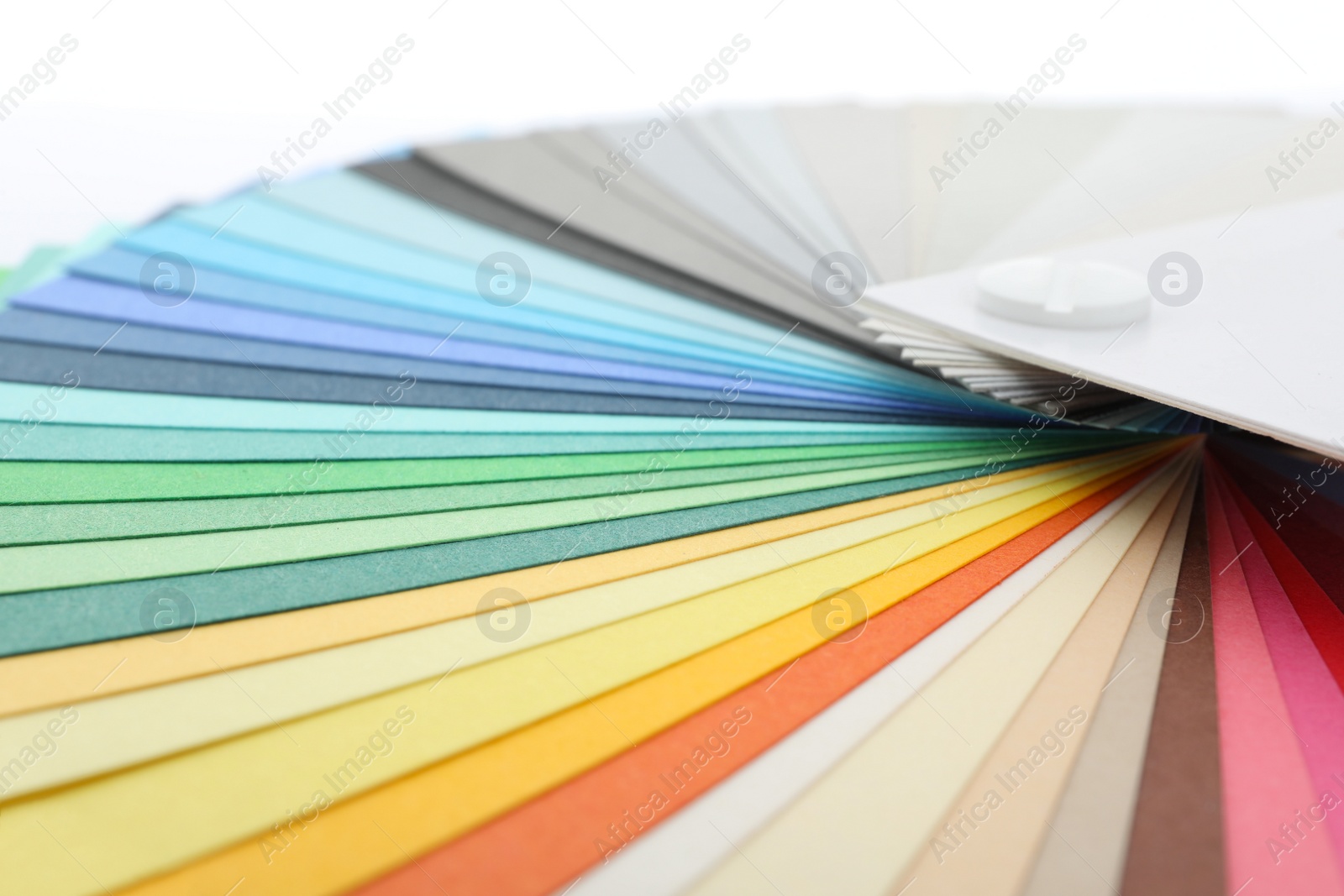 Photo of Color palette samples on white background, closeup