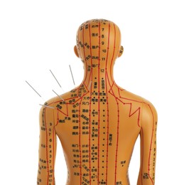 Photo of Acupuncture - alternative medicine. Human model with needles in shoulder isolated on white, back view