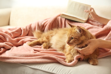 Photo of Woman with cute red cat and book on sofa at home, closeup view. Space for text