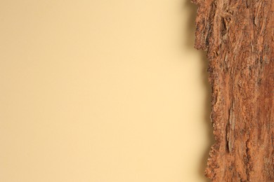 Photo of Tree bark piece on beige background, top view. Space for text