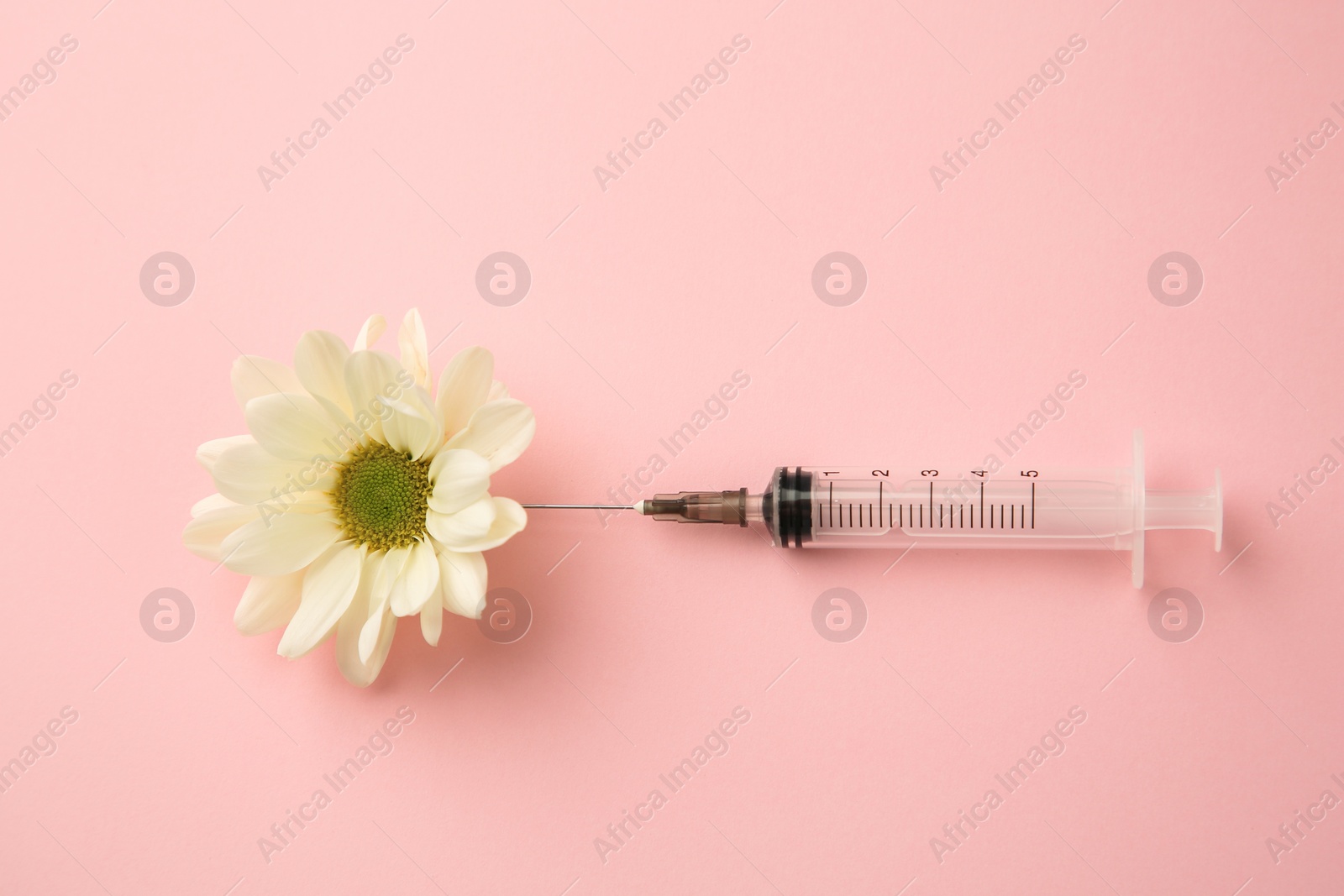 Photo of Medical syringe and beautiful chrysanthemum flower on pink background, top view