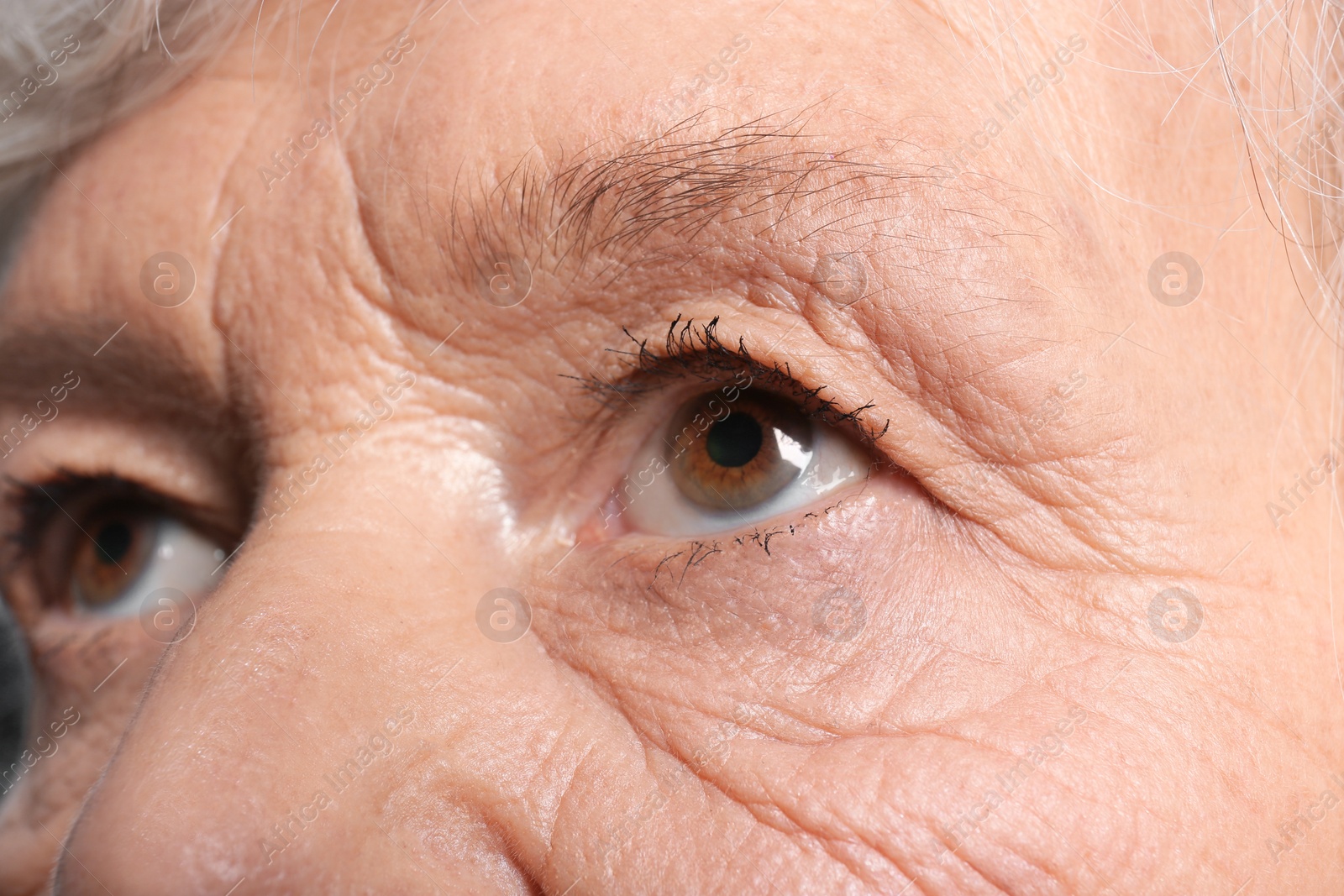 Photo of Wrinkled face of elderly woman, closeup of eyes