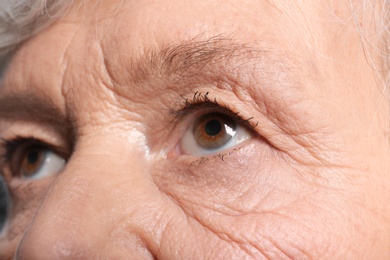 Photo of Wrinkled face of elderly woman, closeup of eyes