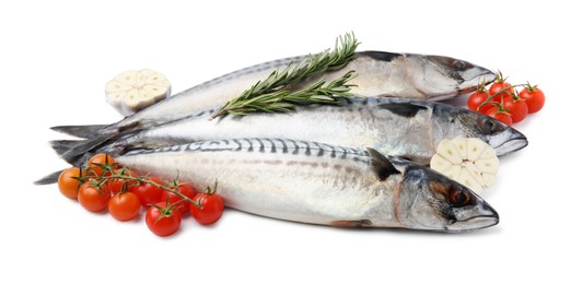 Photo of Raw mackerels, garlic, rosemary and tomatoes isolated on white