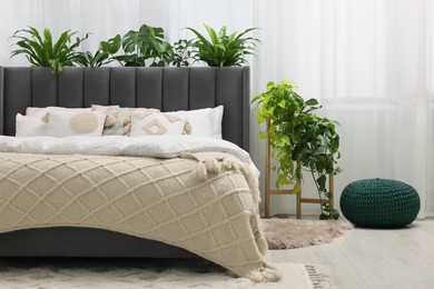Photo of Comfortable bed, pouf and beautiful houseplants in bedroom. Interior design