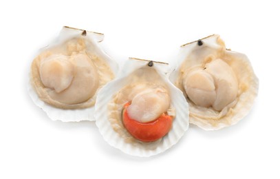 Photo of Fresh raw scallops in shells isolated on white, top view