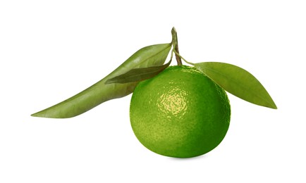 Image of Green tangerine isolated on white. Citrus fruit