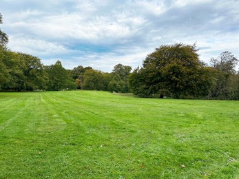Photo of Green grass and lots of trees in beautiful park