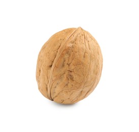 Photo of Whole walnut in shell isolated on white