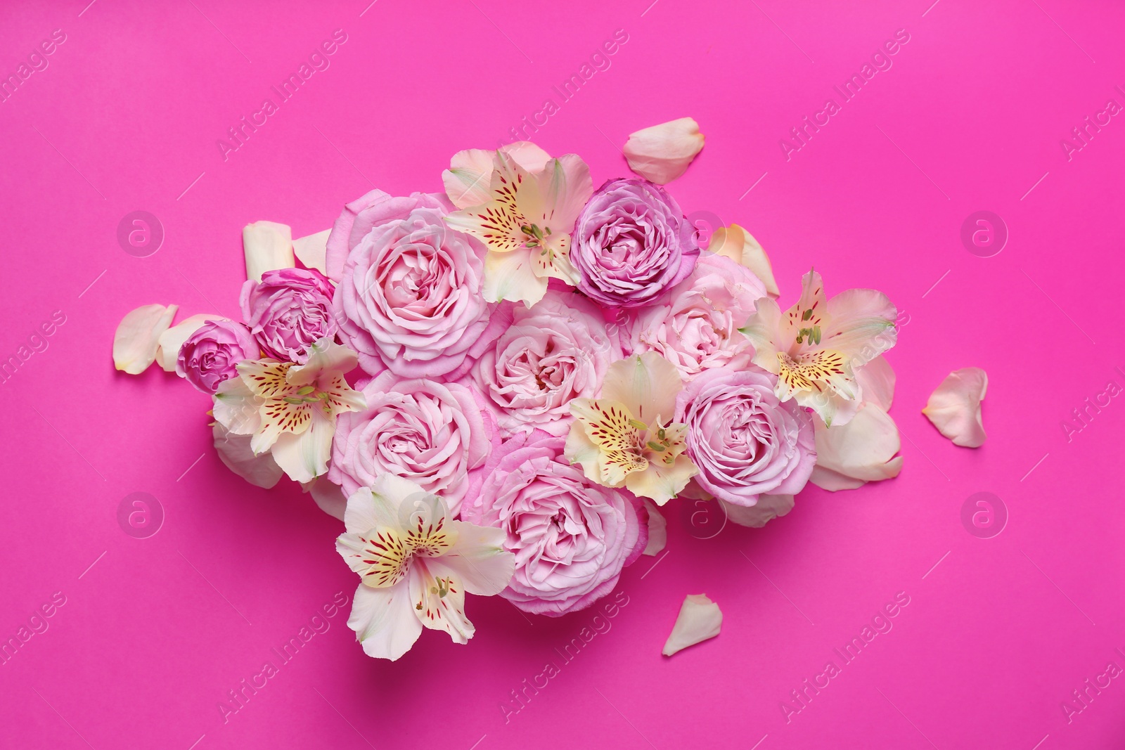 Photo of Fresh flowers on color background, top view