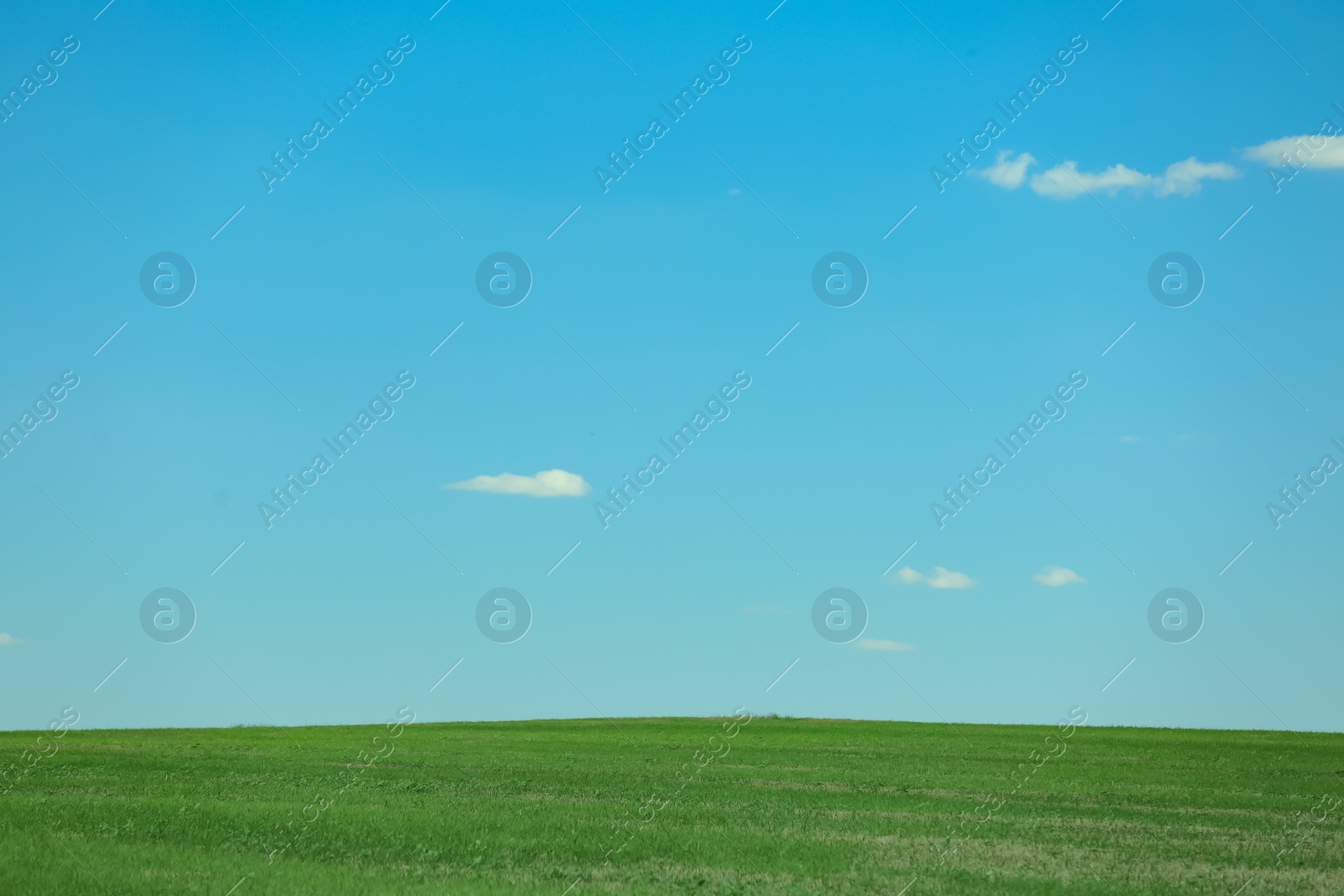 Photo of Beautiful landscape with green grass on sunny day