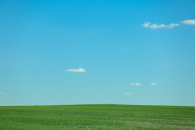 Photo of Beautiful landscape with green grass on sunny day