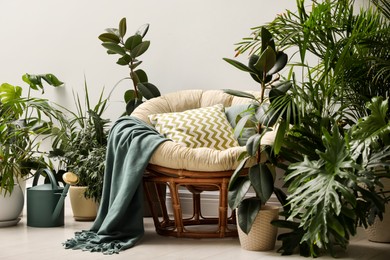 Photo of Lounge area interior with comfortable papasan chair and houseplants