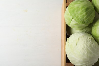 Photo of White cabbage in crate on wooden table, top view. Space for text