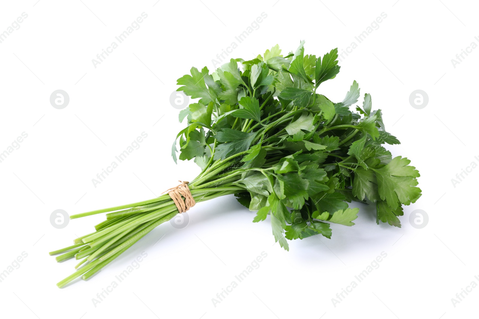 Photo of Bunch of fresh green parsley isolated on white