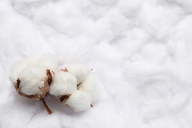 Photo of Cotton flowers on white fluffy background, flat lay. Space for text