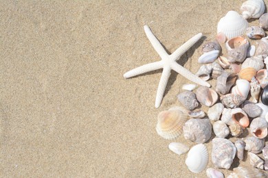 Photo of Beautiful starfish and sea shells on sandy beach, flat lay. Space for text