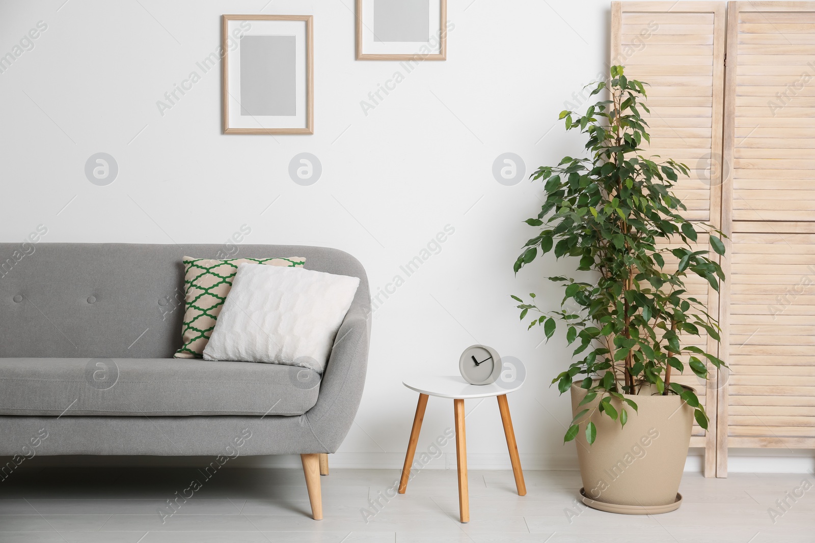 Photo of Stylish living room interior with sofa and houseplant near white wall