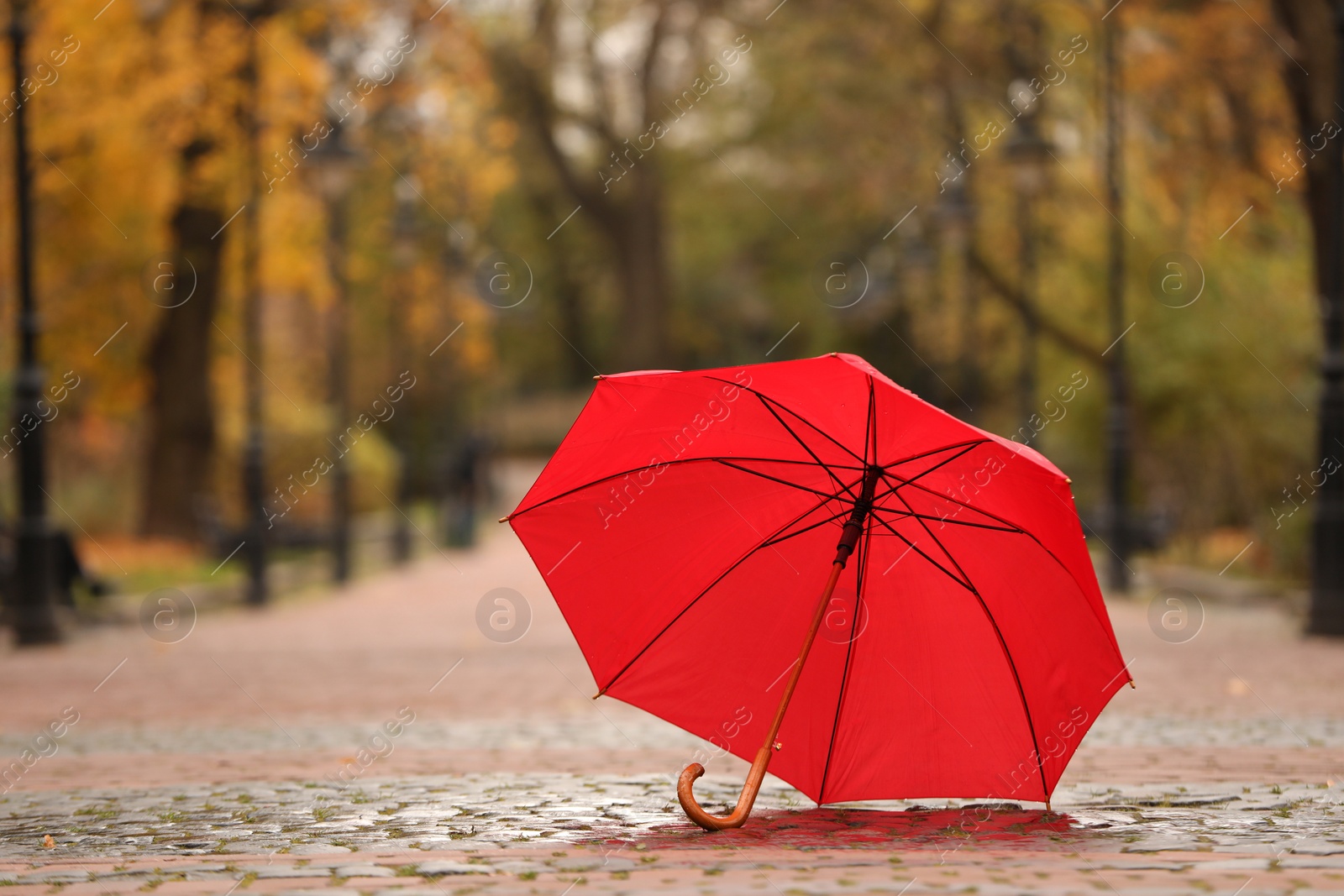 Photo of Open red umbrella on paved pathway in autumn park, space for text