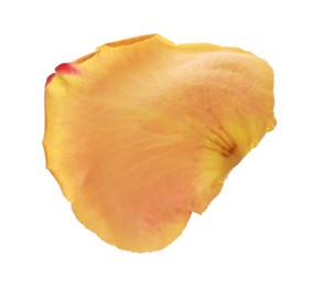 Beautiful yellow rose petal isolated on white