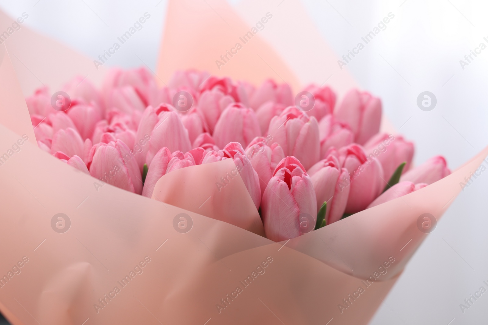 Photo of Bouquet of beautiful pink tulips on blurred background, closeup