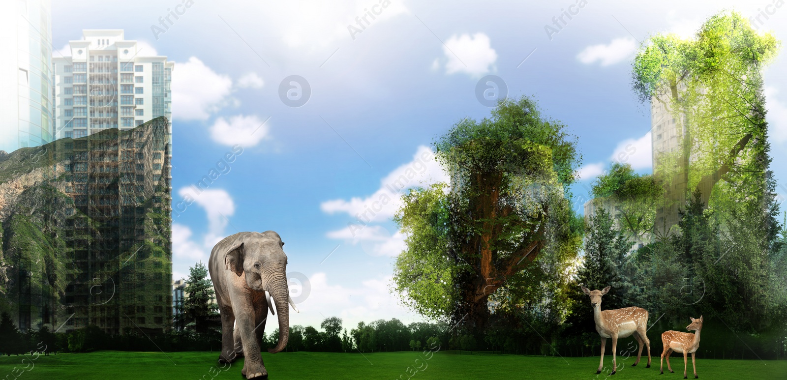 Image of Double exposure of natural scenery with animals and buildings, banner design