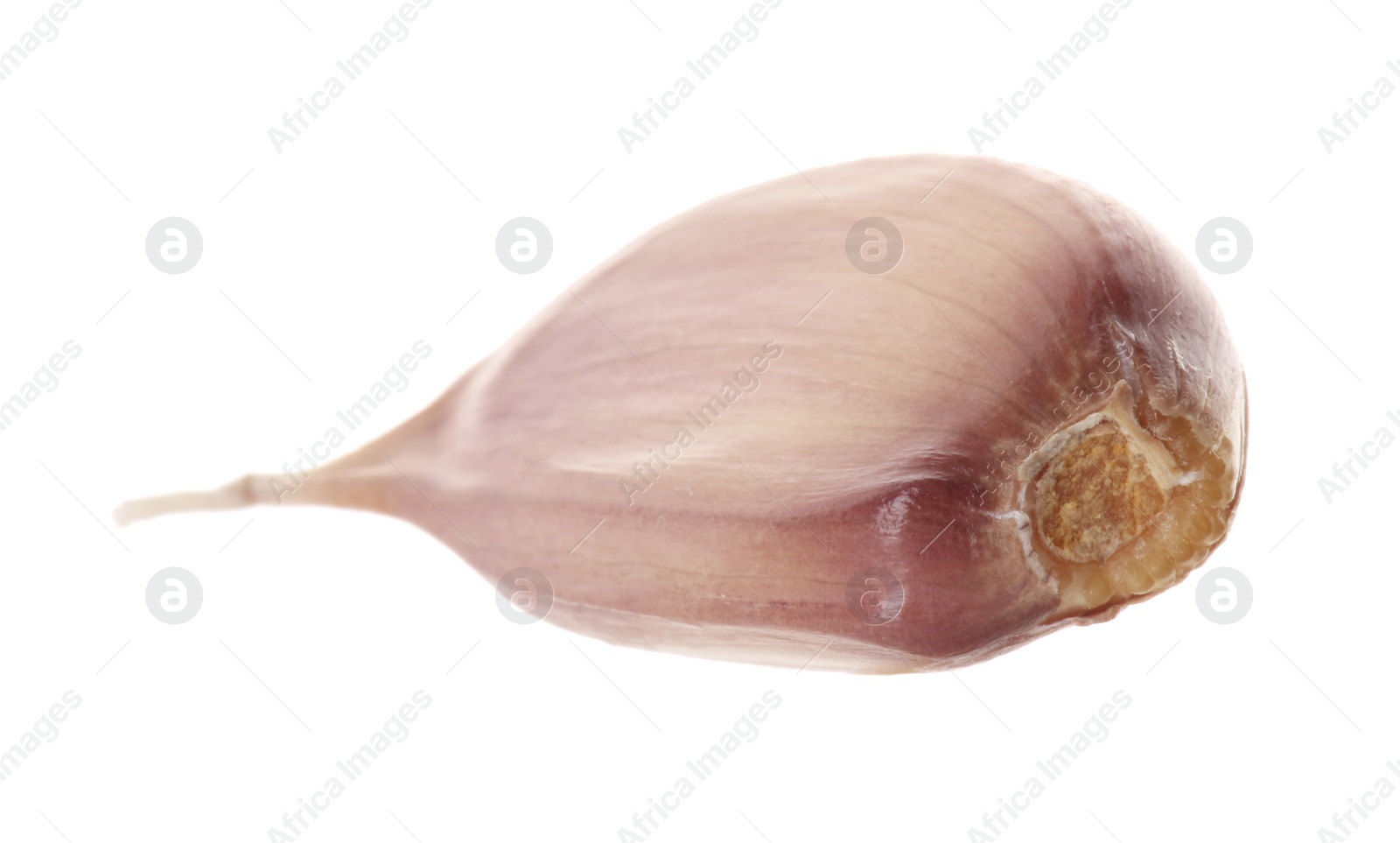 Photo of One unpeeled clove of garlic isolated on white