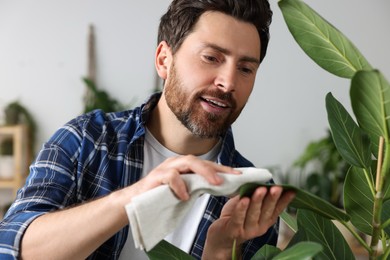 Photo of Man wiping leaves of beautiful potted houseplants with cloth indoors