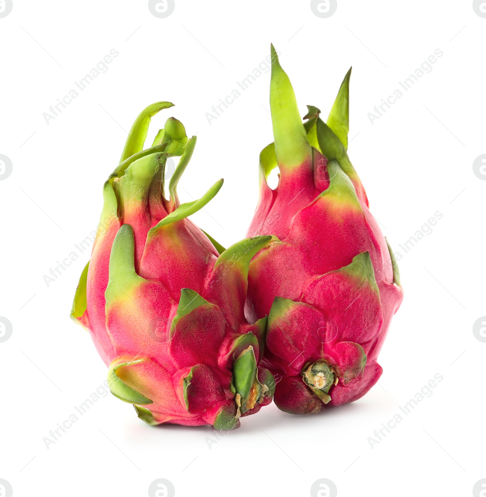 Photo of Delicious pink dragon fruits (pitahaya) on white background