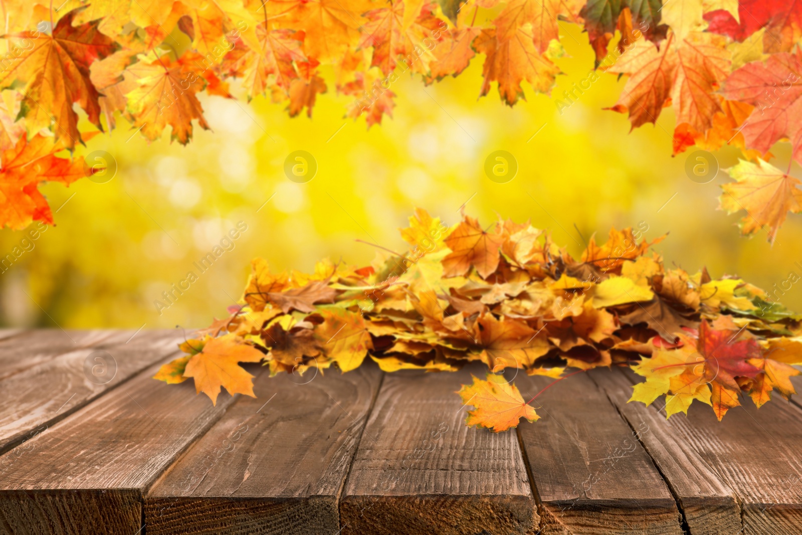 Image of Wooden surface with beautiful autumn leaves on blurred background