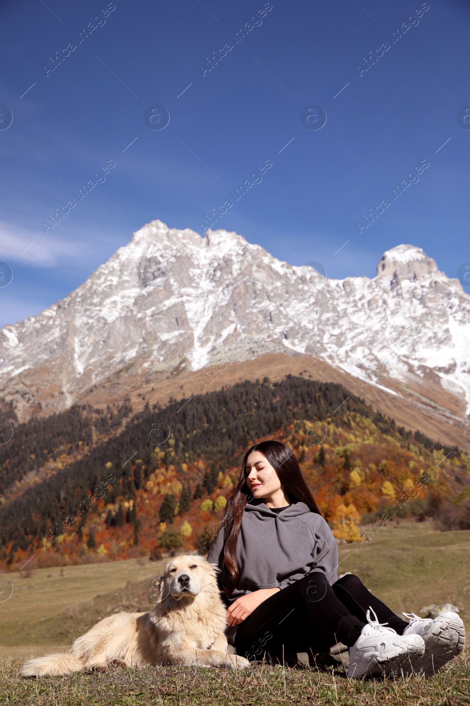 Photo of Beautiful young woman with adorable dog in mountains on sunny day