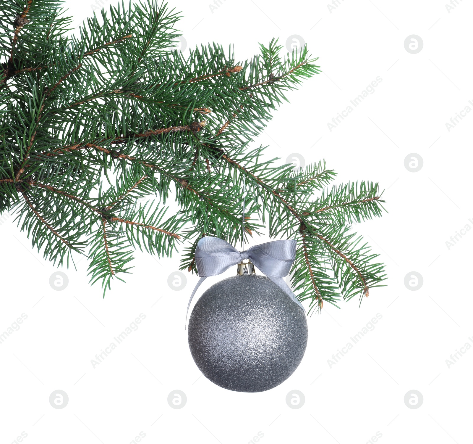 Photo of Silver shiny Christmas ball on fir tree branch against white background