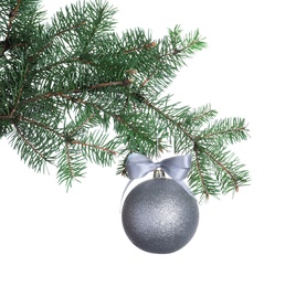 Silver shiny Christmas ball on fir tree branch against white background