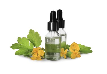 Photo of Bottles of essential oil and celandine on white background