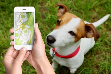 Application to find pet by identification chip. Woman using smartphone near dog with collar outdoors, closeup