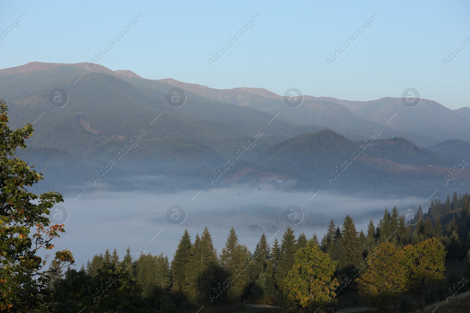 Photo of Beautiful view of foggy mountains covered with forest