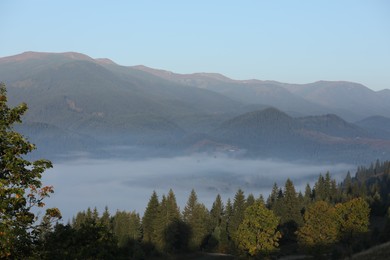 Beautiful view of foggy mountains covered with forest