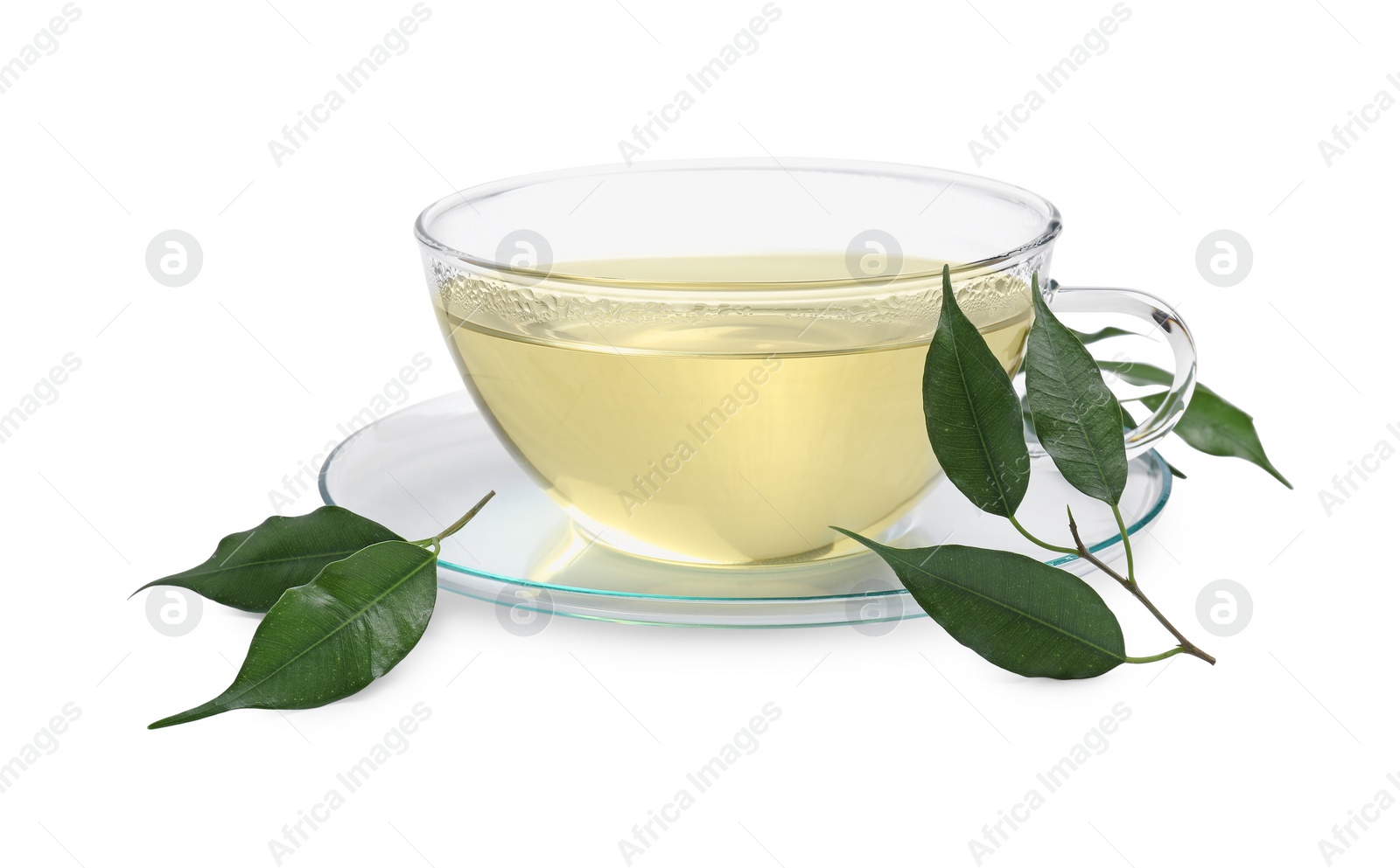 Photo of Refreshing green tea in cup and leaves isolated on white