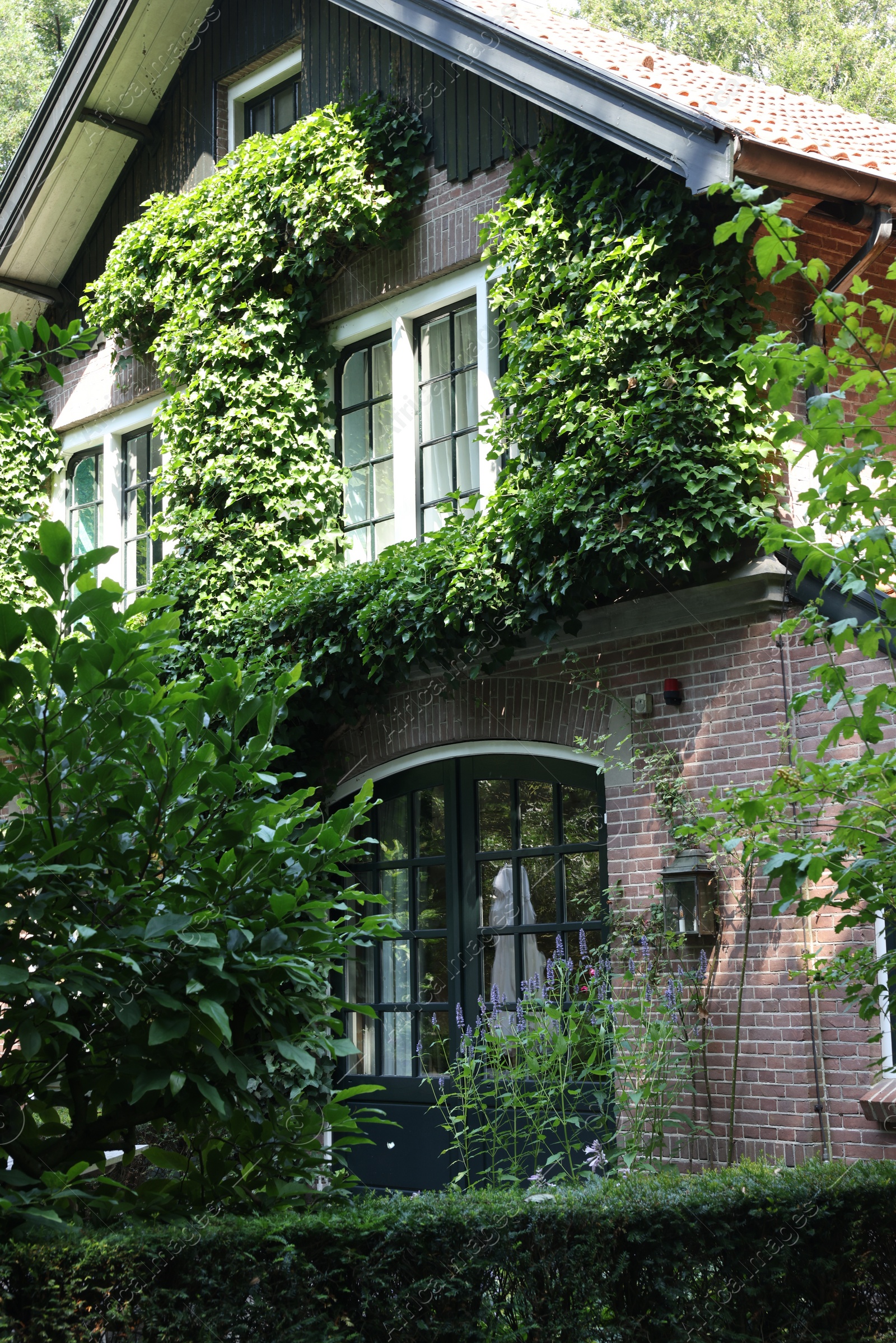 Photo of Picturesque view of beautiful house and plants on sunny day