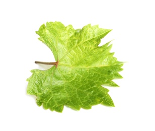 Fresh green grape leaf isolated on white