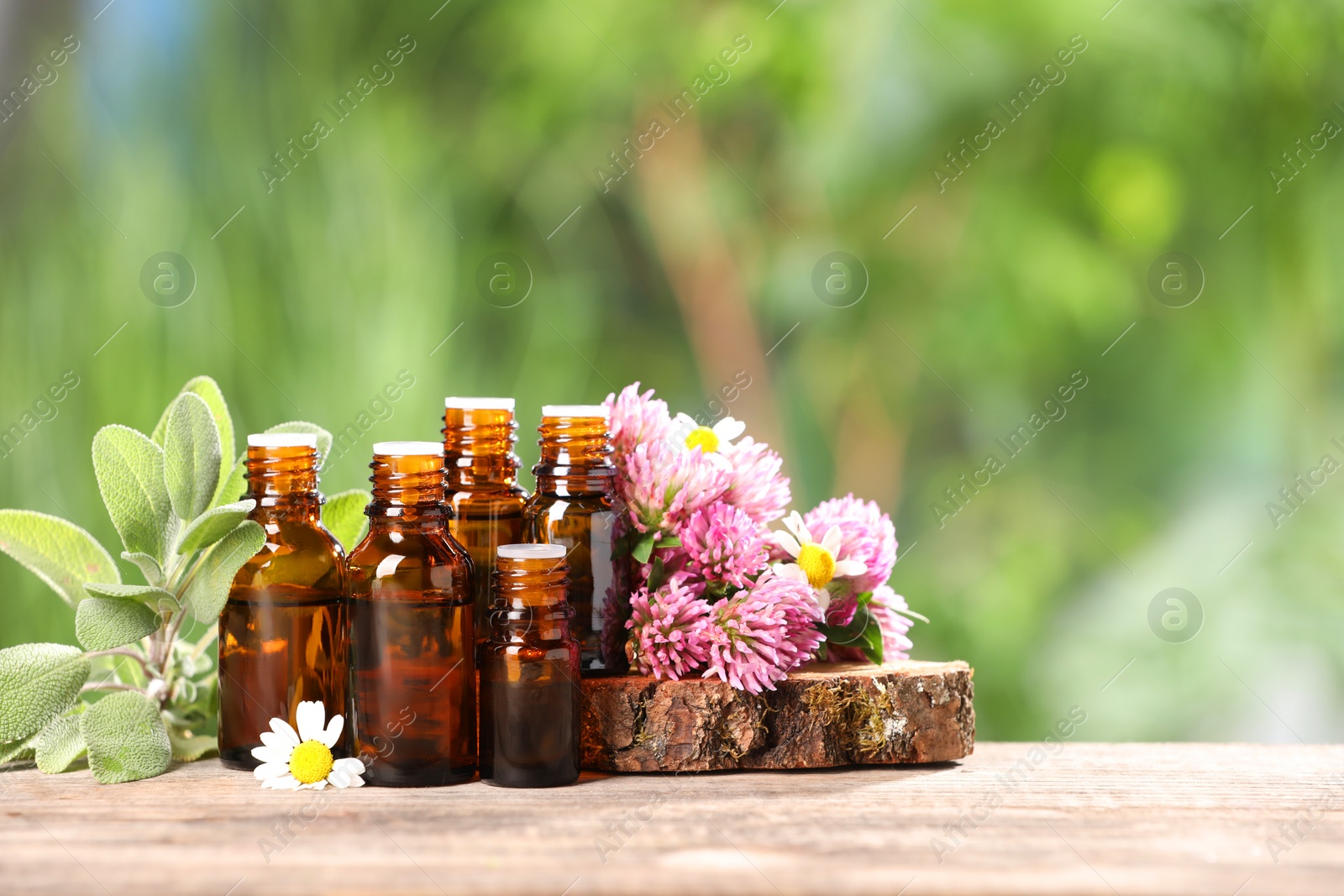 Photo of Bottles with essential oils, herb and flowers on wooden table against blurred green background. Space for text