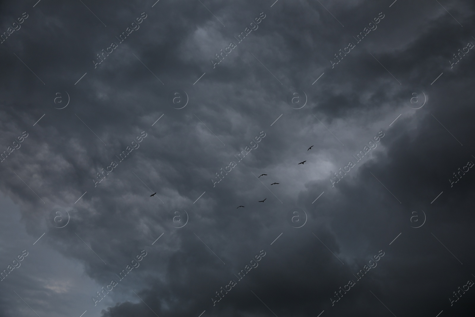 Photo of Picturesque view of birds in sky with heavy rainy clouds