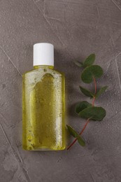 Fresh mouthwash in bottle and eucalyptus branch on dark textured table with water drops, top view