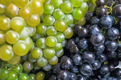 Photo of Fresh ripe juicy grapes with water drops as background, closeup