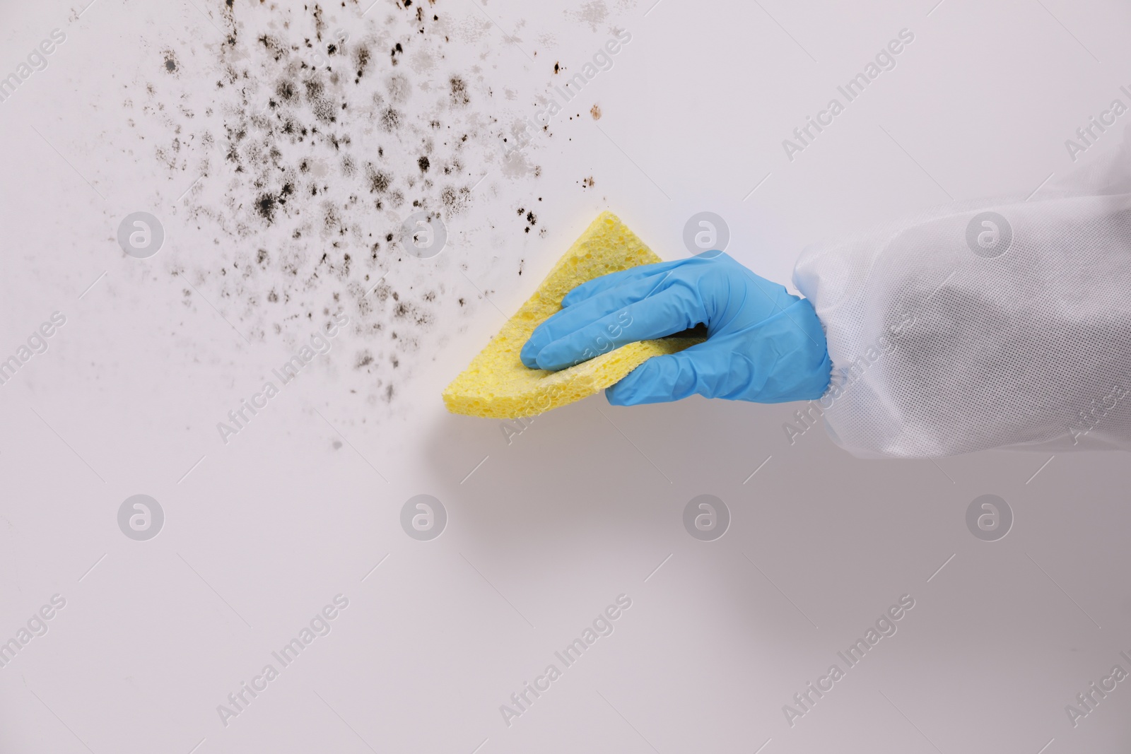 Image of Woman in protective suit and rubber gloves removing mold from wall with rag, closeup